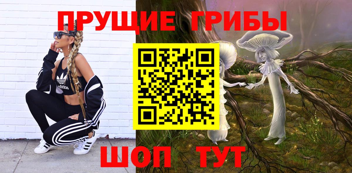 Галлюциногенные грибы Psilocybe Усть-Джегута