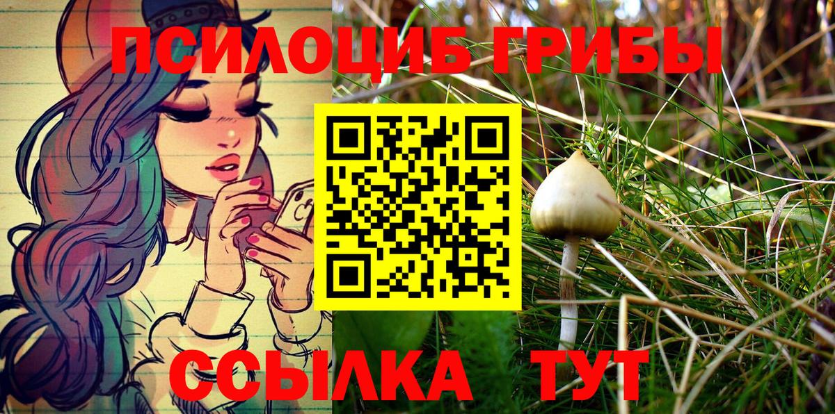 Галлюциногенные грибы MAGIC MUSHROOMS  Вход с VPN  Галлюциногенные грибы Psilocybe  Усть-Джегута 